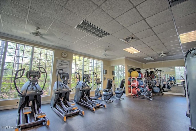 exercise room featuring a healthy amount of sunlight and crown molding