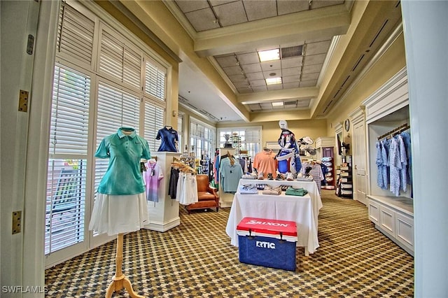 misc room featuring a paneled ceiling, carpet, and a wealth of natural light