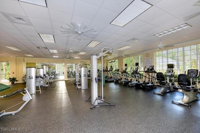 workout area featuring a paneled ceiling, visible vents, and a ceiling fan