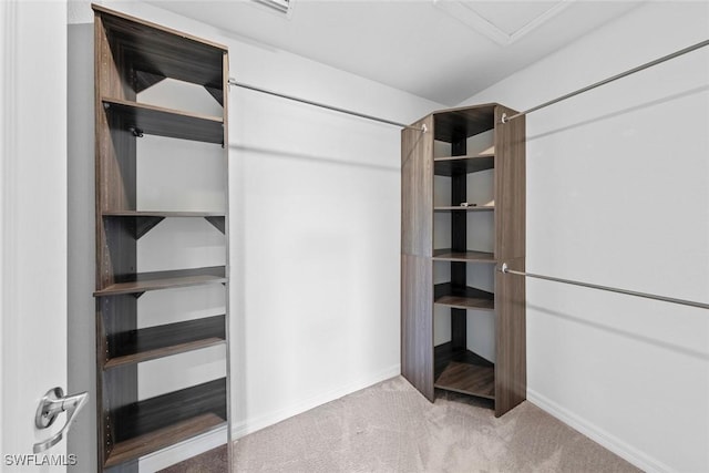 walk in closet featuring carpet flooring