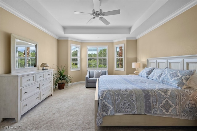 bedroom featuring multiple windows, a tray ceiling, and light colored carpet