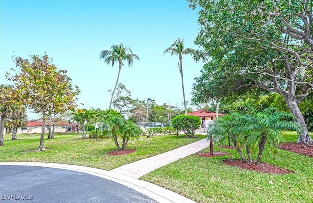 view of community featuring a lawn