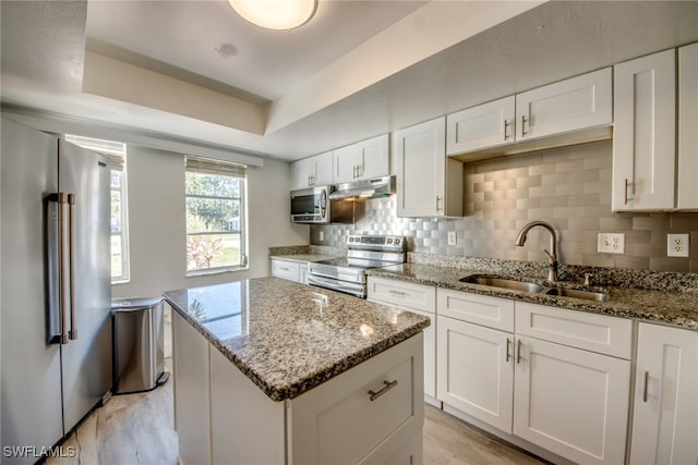 kitchen featuring a tray ceiling, stainless steel appliances, backsplash, a sink, and under cabinet range hood