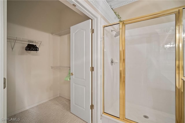 bathroom with a stall shower and a spacious closet