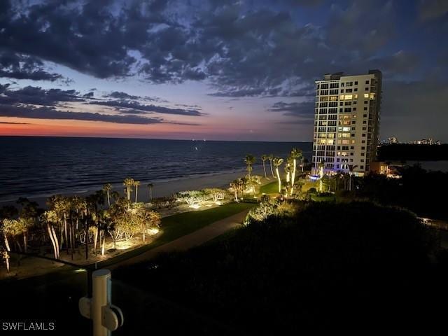 water view featuring a beach view