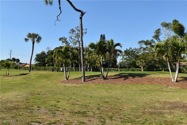 view of property's community with a yard