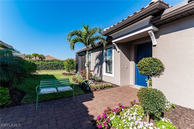 doorway to property featuring a patio area and stucco siding