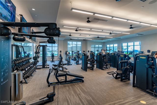 workout area with a healthy amount of sunlight, visible vents, and carpet flooring