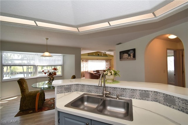 kitchen featuring a raised ceiling, wood finished floors, a sink, light countertops, and a wealth of natural light