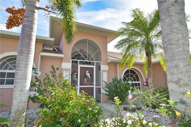 view of exterior entry with stucco siding