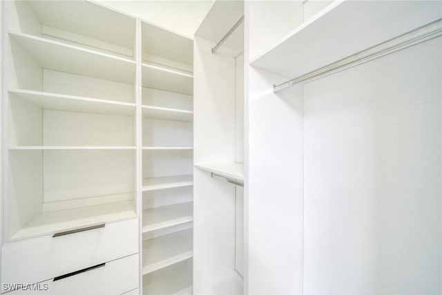 149 SE 21st St, Cape Coral, FL 33990 - view of walk in closet