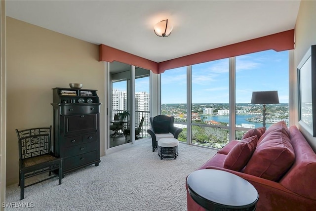 carpeted living area featuring a view of city