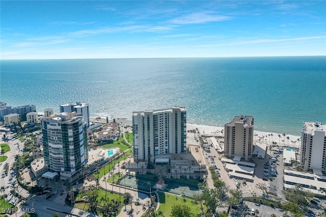 birds eye view of property featuring a city view and a water view