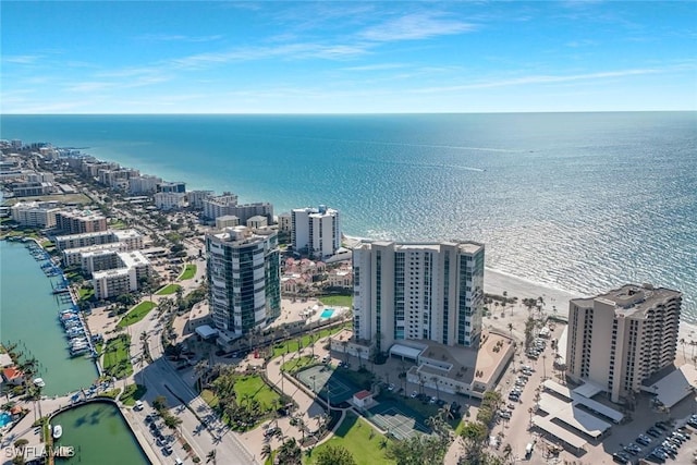 aerial view with a city view and a water view