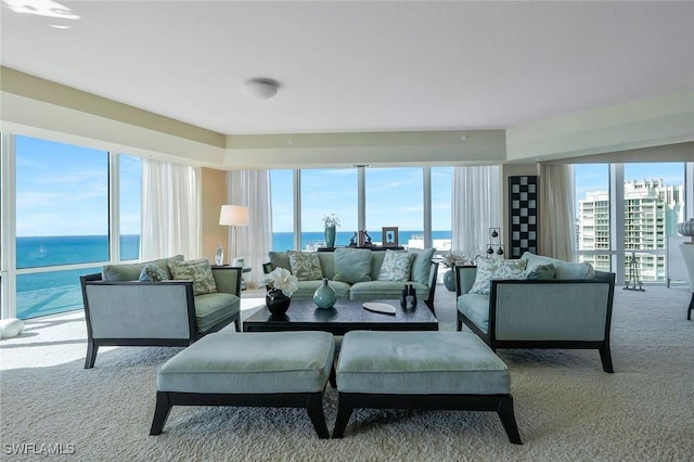 carpeted living room featuring a healthy amount of sunlight and a water view