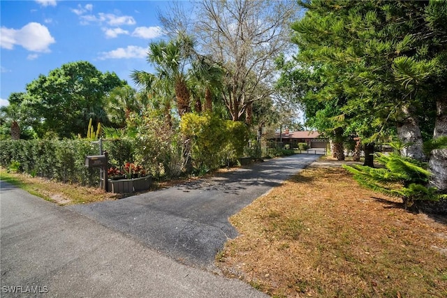 view of street featuring driveway