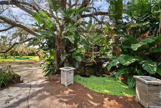 view of yard with a patio area