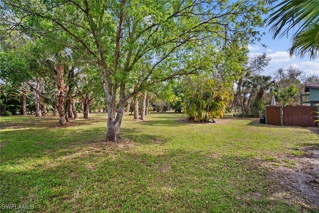 view of yard