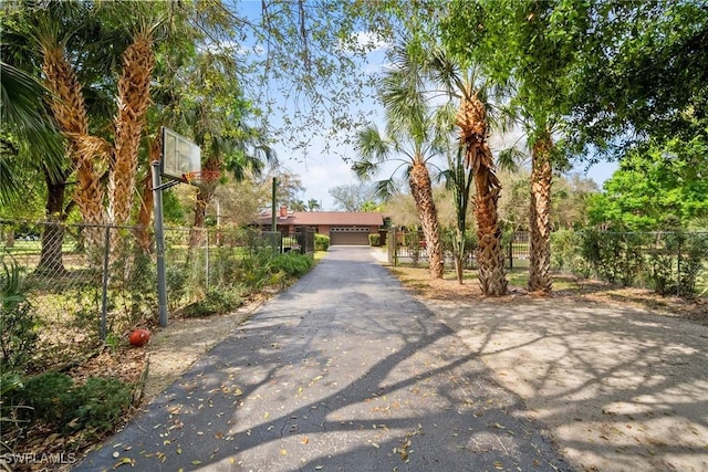 view of street with driveway