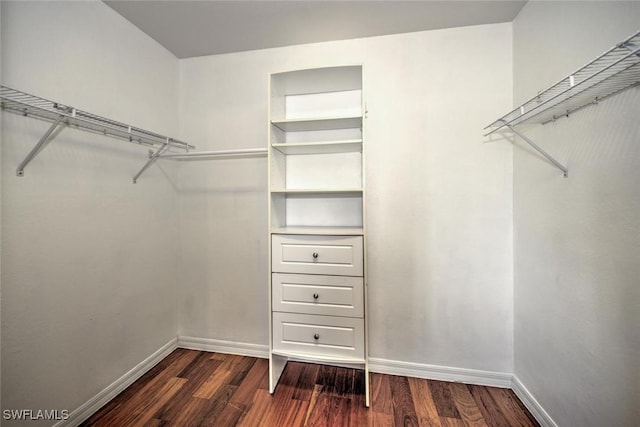 walk in closet with dark wood finished floors