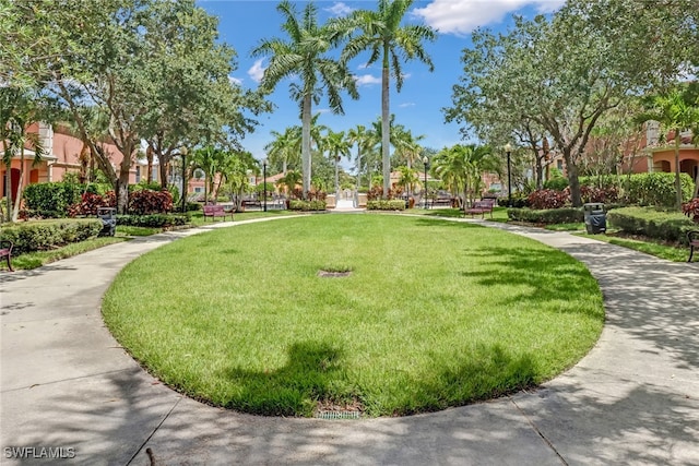 view of community featuring a yard