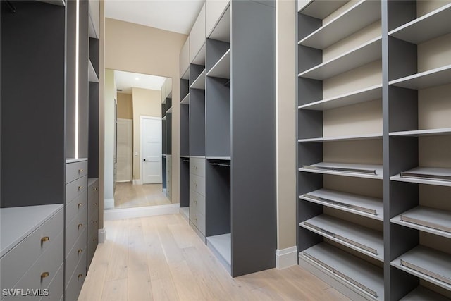 spacious closet with light wood-style floors