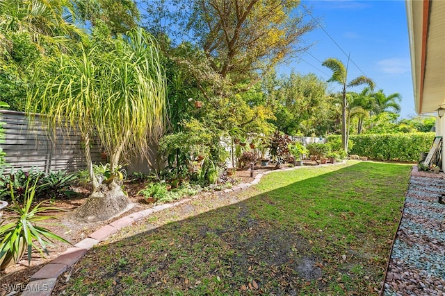 view of yard featuring a fenced backyard