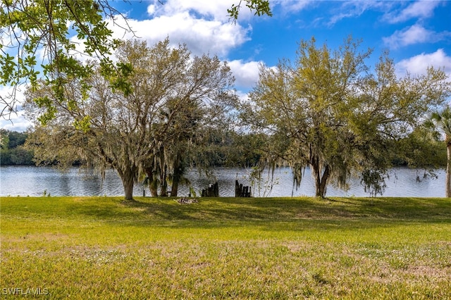 property view of water