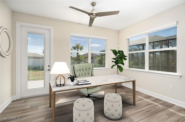 office space featuring wood finished floors and a healthy amount of sunlight