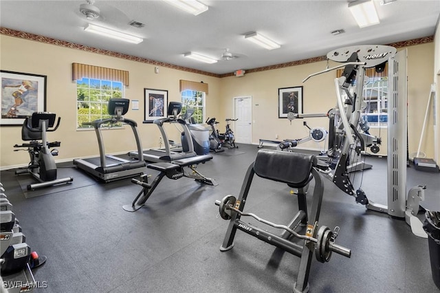 workout area with a wealth of natural light, visible vents, and baseboards