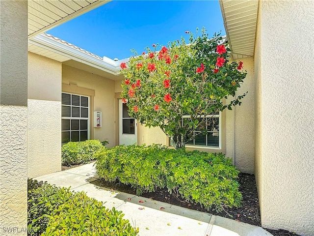 entrance to property with stucco siding