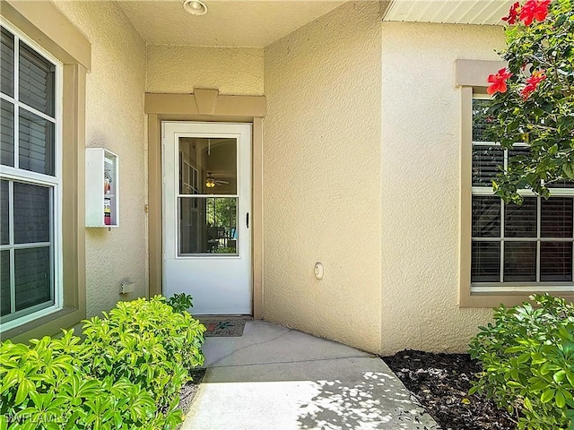 entrance to property with stucco siding
