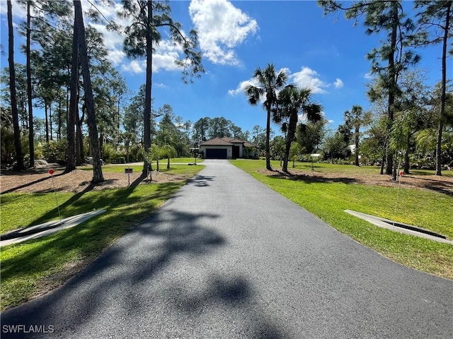 view of road featuring aphalt driveway