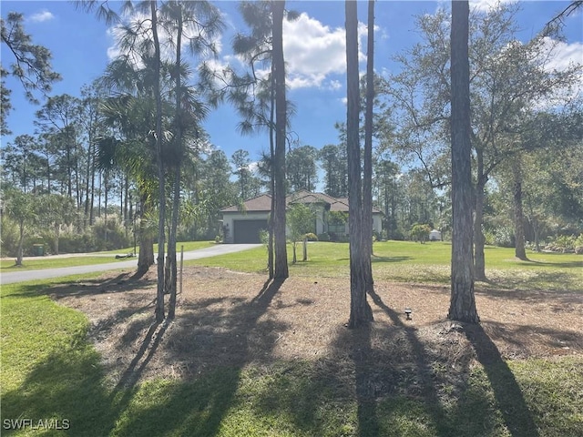 view of yard with driveway and an attached garage