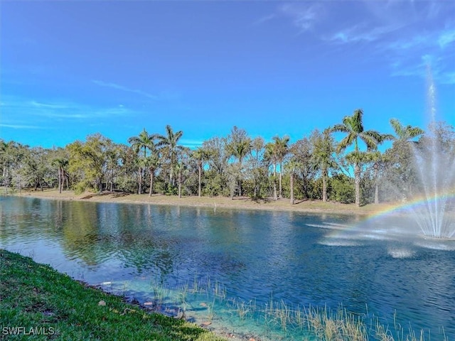 property view of water