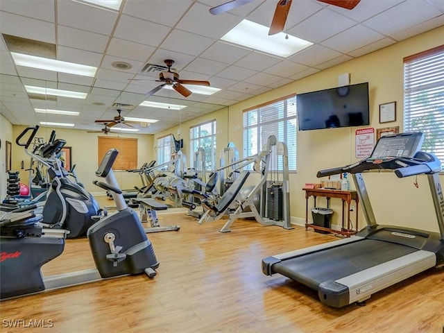 workout area featuring a ceiling fan, a paneled ceiling, visible vents, and wood finished floors