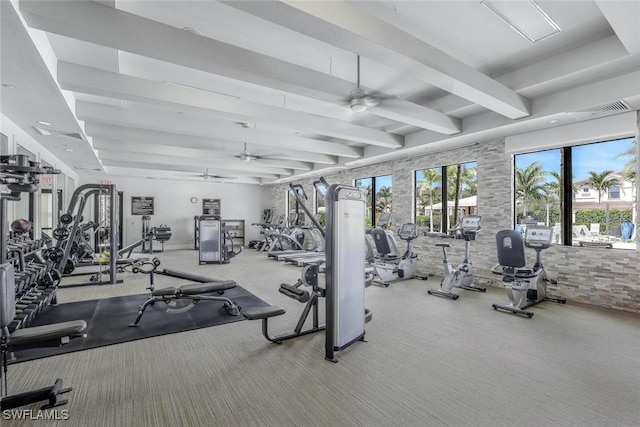 workout area featuring carpet floors, visible vents, and a ceiling fan