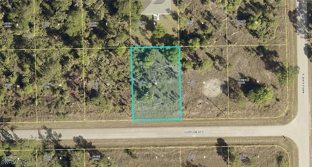 1247 Cloplon St E, Lehigh Acres FL, 33974 land for sale