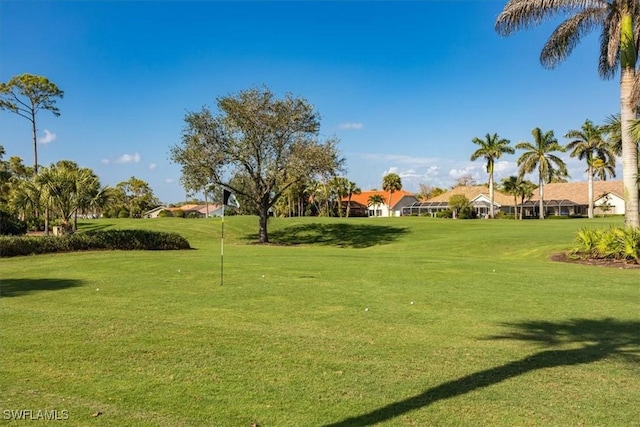 view of home's community featuring a yard