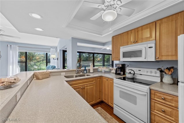 kitchen with a sink, white appliances, a raised ceiling, and a healthy amount of sunlight