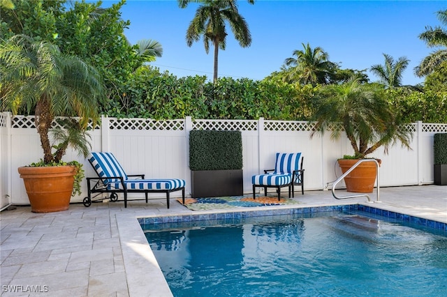 view of pool featuring a patio area, a fenced backyard, and a fenced in pool