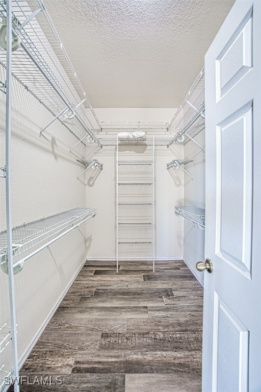 spacious closet featuring wood finished floors