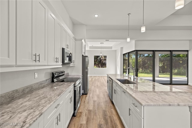 kitchen featuring light wood finished floors, a raised ceiling, a large island, stainless steel appliances, and a sink