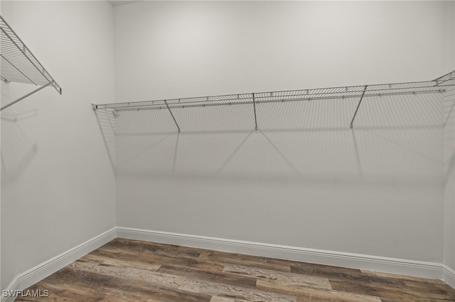 spacious closet featuring dark wood-type flooring