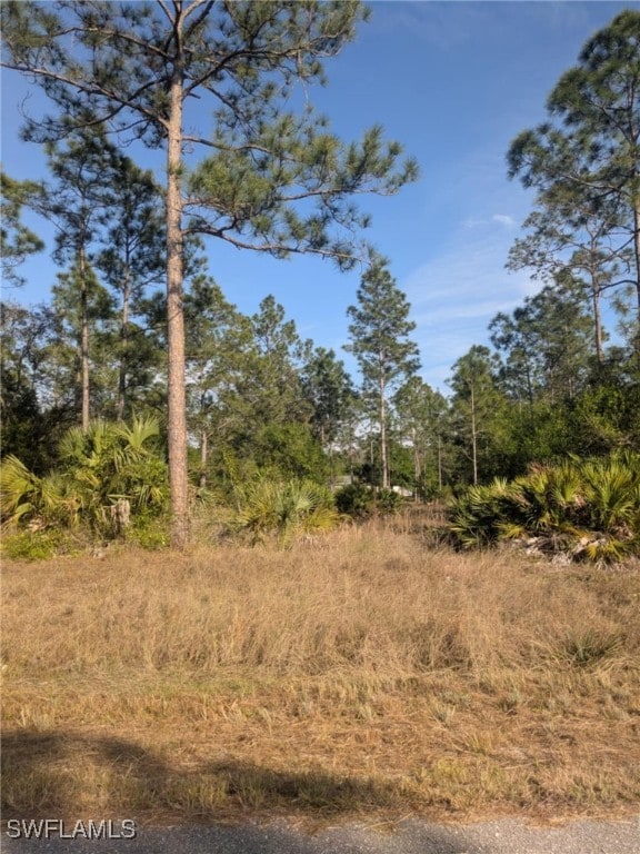 1412 Clayton Ave, Lehigh Acres FL, 33972 land for sale