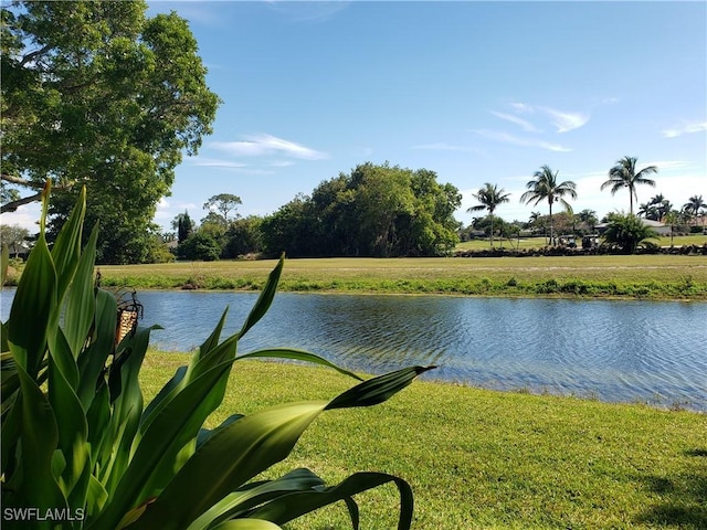 view of water feature