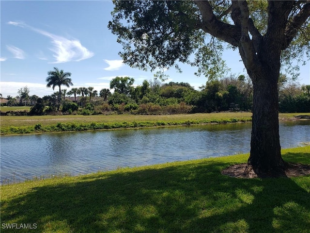 view of water feature