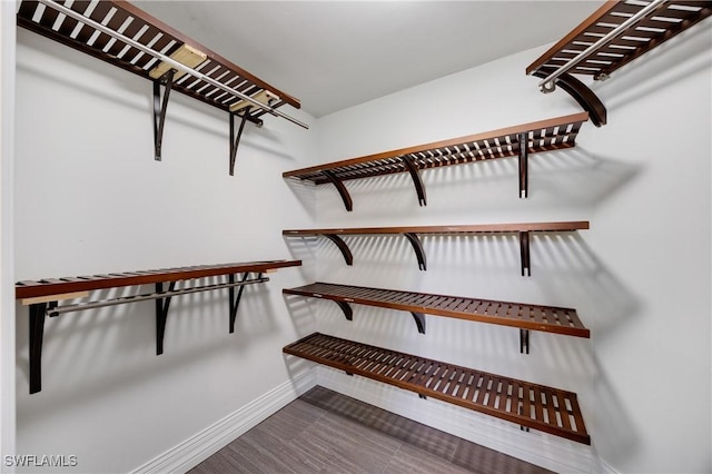 spacious closet featuring wood finished floors