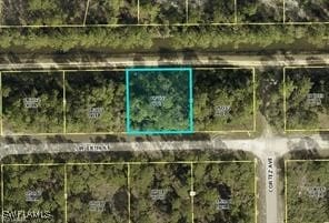 302 W 18th St, Lehigh Acres FL, 33972 land for sale