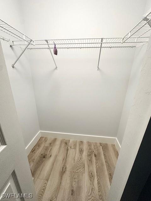 walk in closet featuring wood finished floors